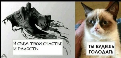 ежедневник наблюдателя