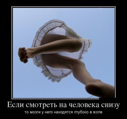 ежедневник наблюдателя