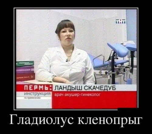 ежедневник наблюдателя