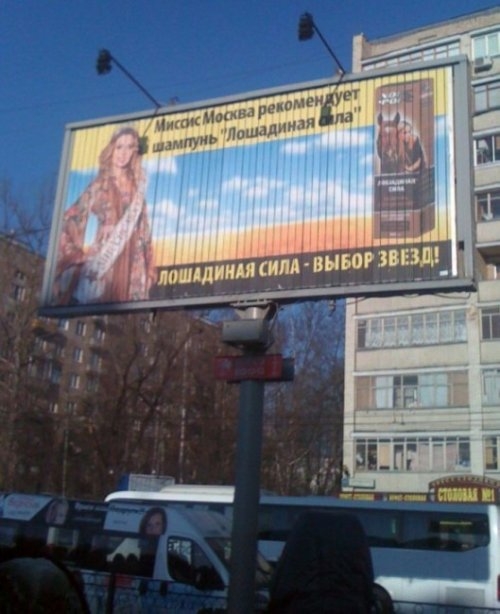 ежедневник наблюдателя