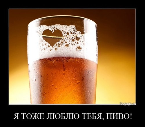 ежедневник наблюдателя