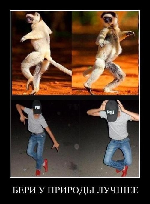 ежедневник наблюдателя