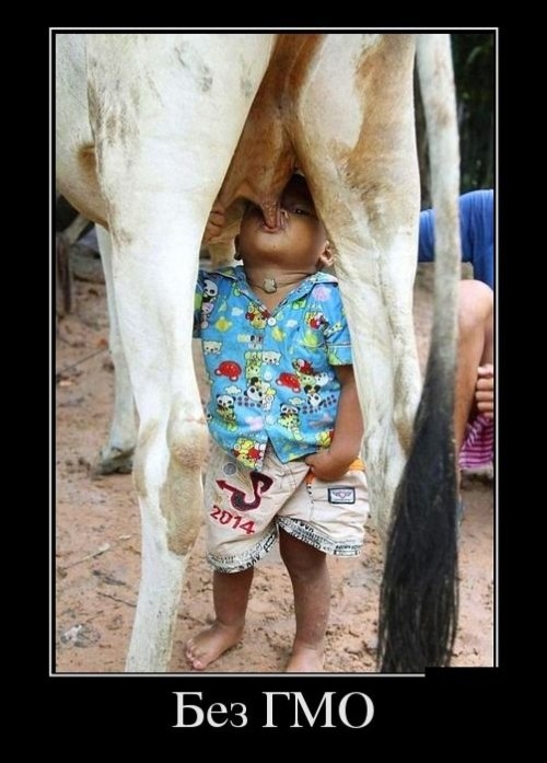 ежедневник наблюдателя