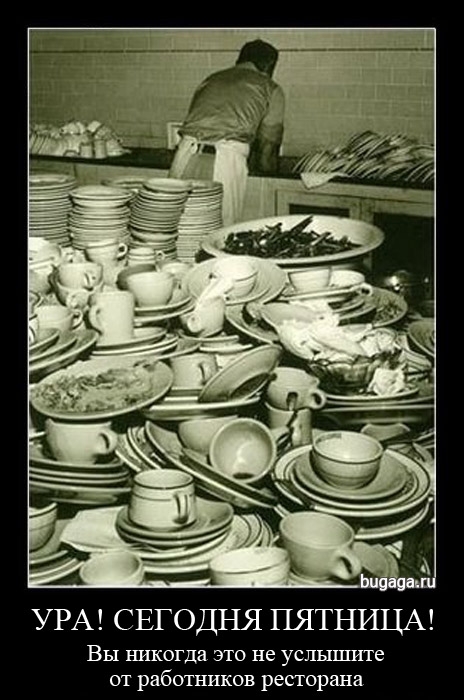 ежедневник наблюдателя