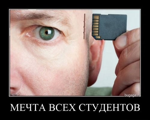 ежедневник наблюдателя