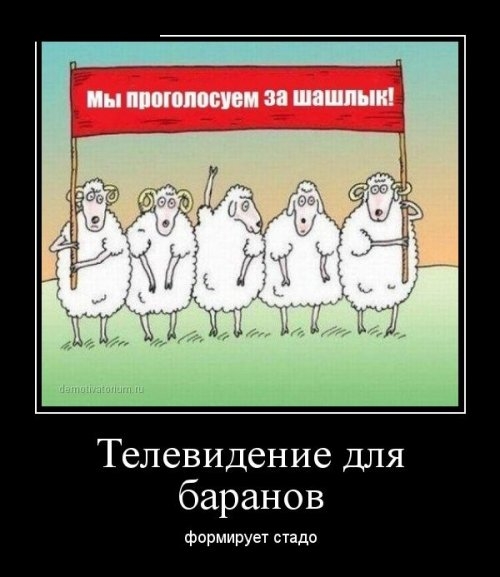 ежедневник наблюдателя