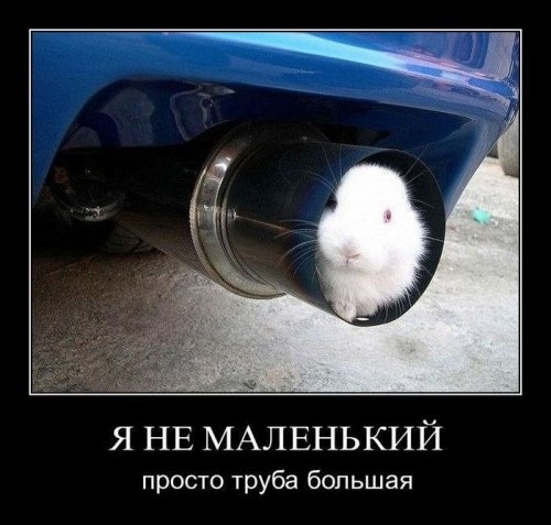 ежедневник наблюдателя