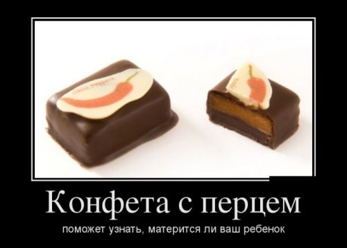 ежедневник наблюдателя