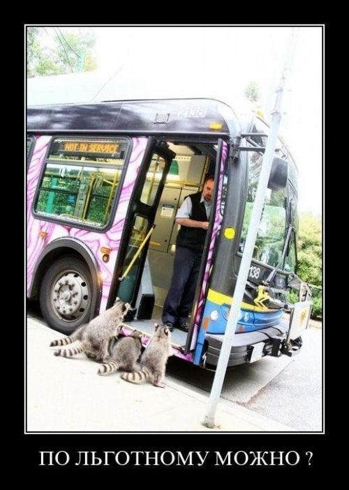 ежедневник наблюдателя