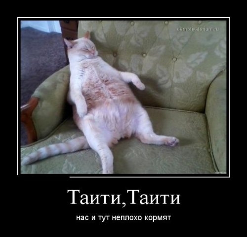 ежедневник наблюдателя