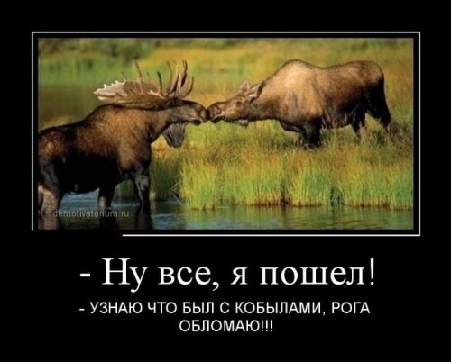 ежедневник наблюдателя