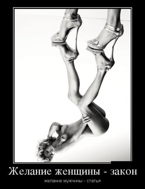 ежедневник наблюдателя