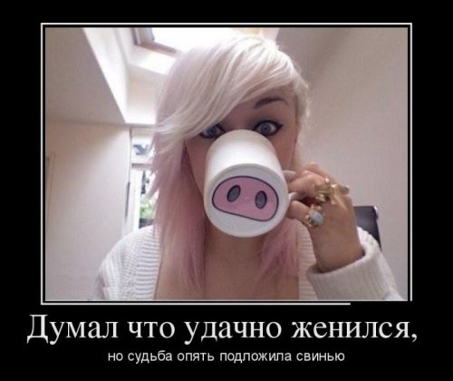 ежедневник наблюдателя
