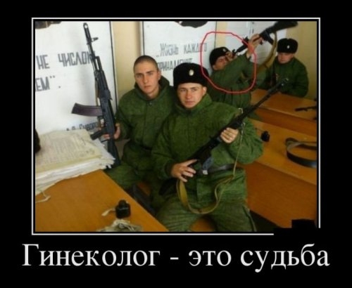 ежедневник наблюдателя