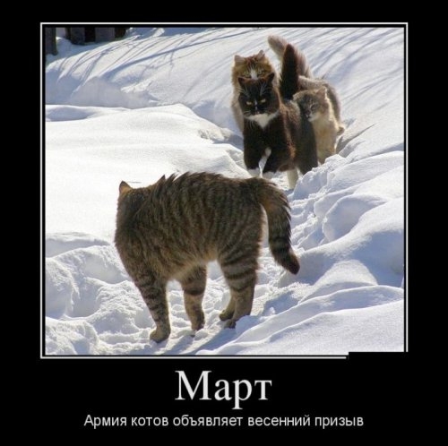 ежедневник наблюдателя