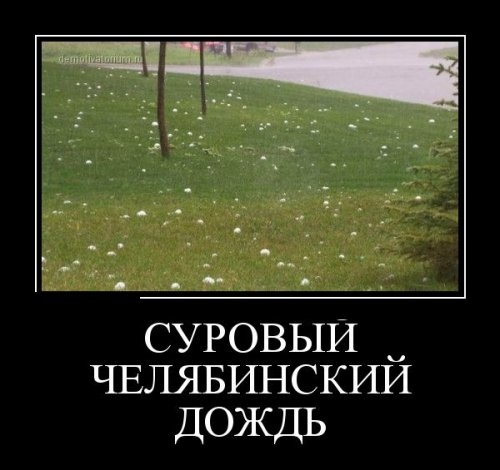 ежедневник наблюдателя