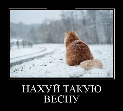 ежедневник наблюдателя