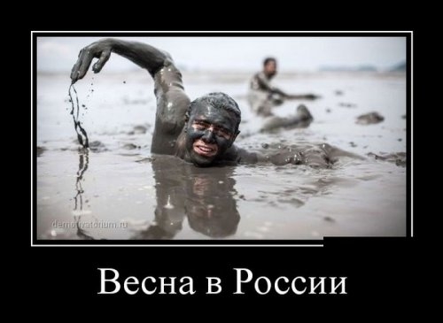 ежедневник наблюдателя