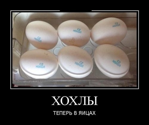 ежедневник наблюдателя