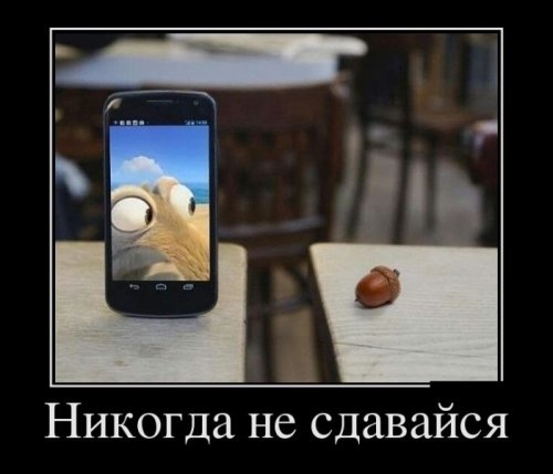 ежедневник наблюдателя