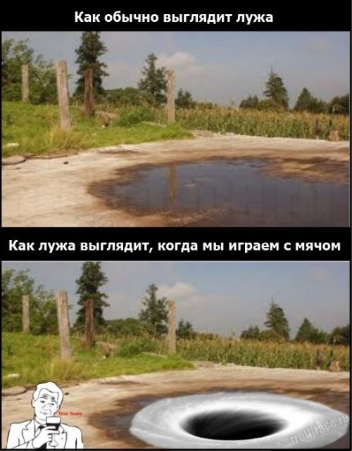 ежедневник наблюдателя