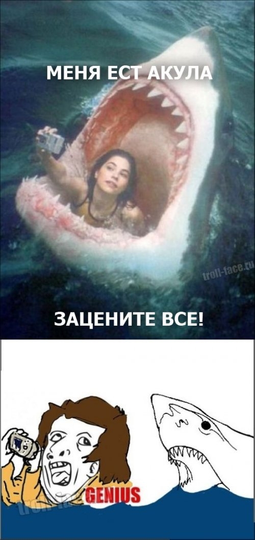 ежедневник наблюдателя