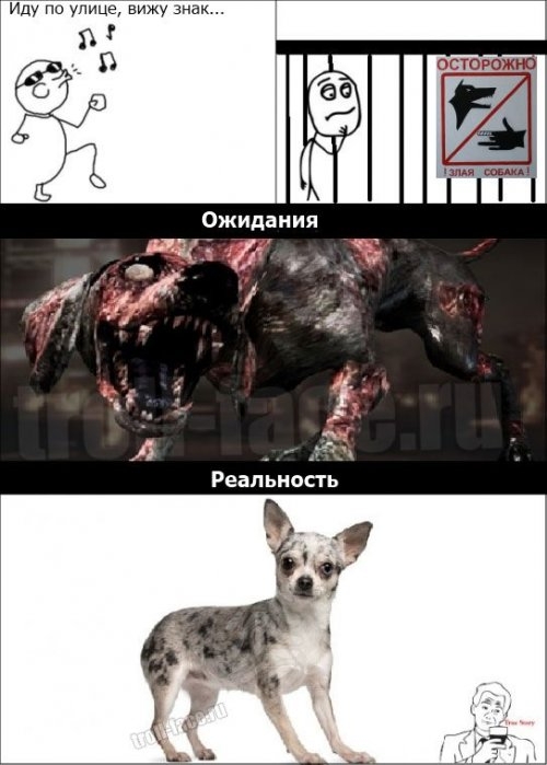 ежедневник наблюдателя