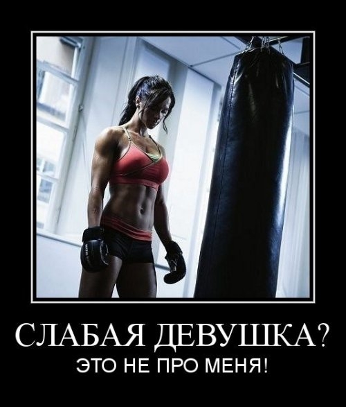 ежедневник наблюдателя