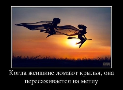 ежедневник наблюдателя