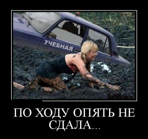 ежедневник наблюдателя