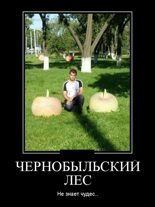 ежедневник наблюдателя