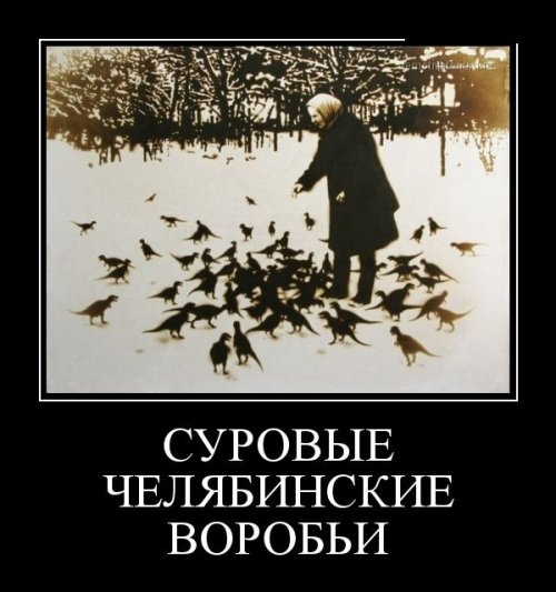 ежедневник наблюдателя