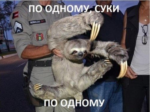 ежедневник наблюдателя
