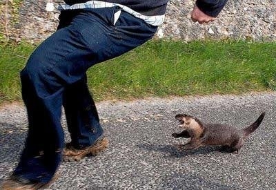 ежедневник наблюдателя