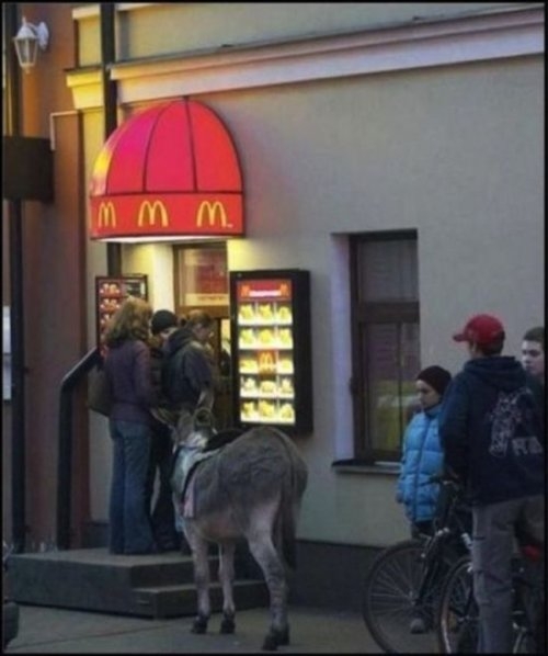 ежедневник наблюдателя