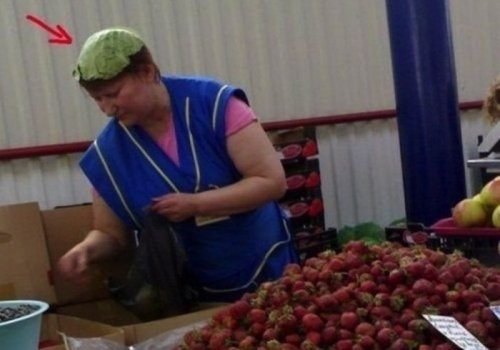 ежедневник наблюдателя