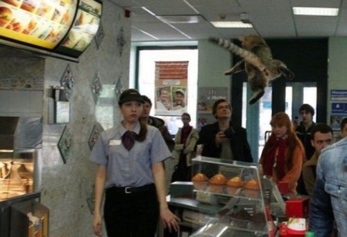 ежедневник наблюдателя