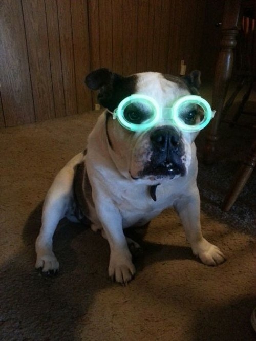 ежедневник наблюдателя