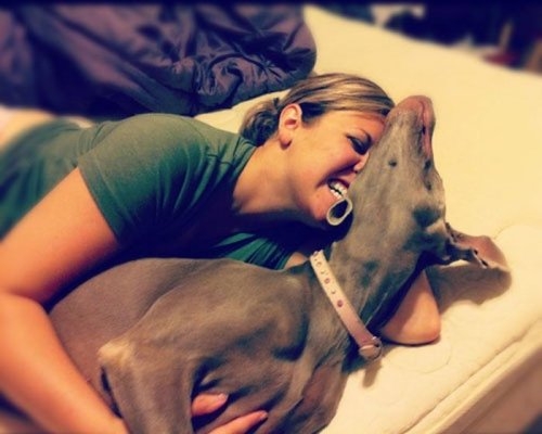 ежедневник наблюдателя