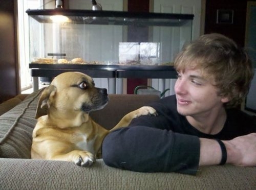 ежедневник наблюдателя