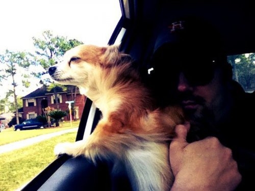 ежедневник наблюдателя