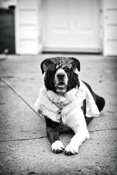 ежедневник наблюдателя