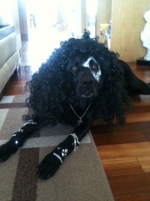 ежедневник наблюдателя