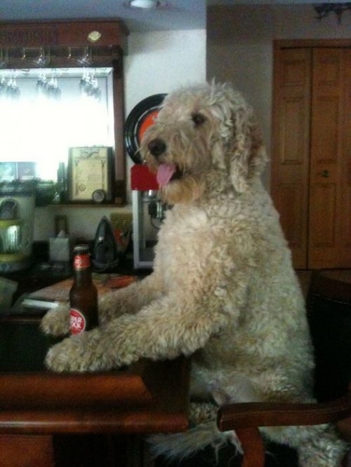 ежедневник наблюдателя