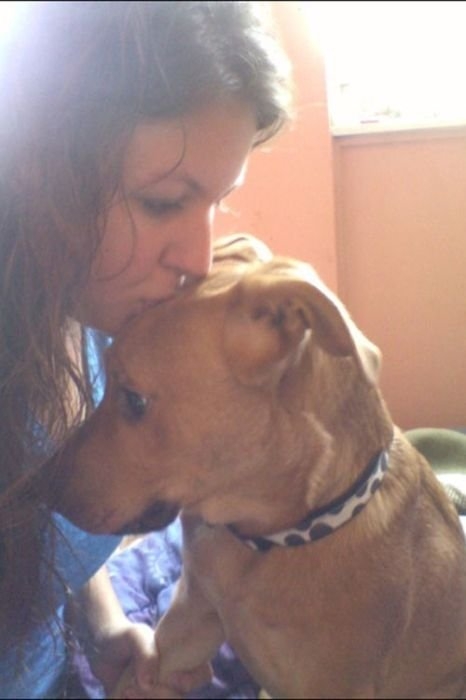 ежедневник наблюдателя