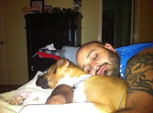 ежедневник наблюдателя