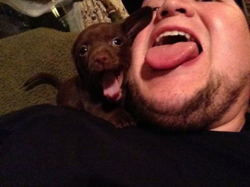 ежедневник наблюдателя