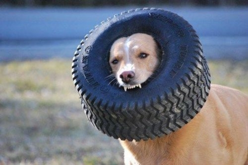 ежедневник наблюдателя