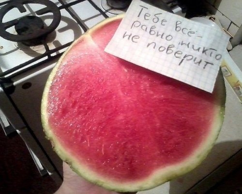 ежедневник наблюдателя