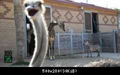 ежедневник наблюдателя